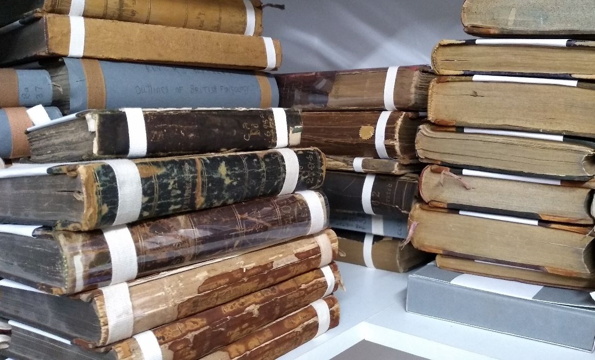Piles of damaged books on a shelf