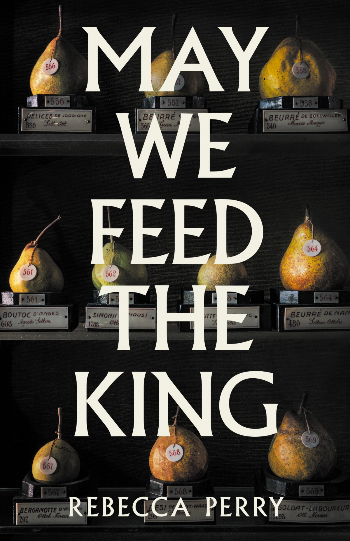 The cover of the book May We Feed the King by Rebecca Perry