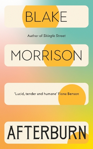 The cover of the book Afterburn by Blake Morrison