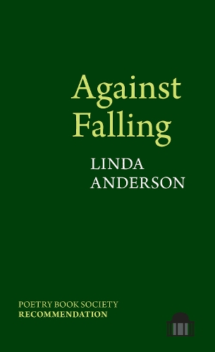 The cover of Against Falling by Linda R. Anderson